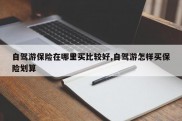 自驾游保险在哪里买比较好,自驾游怎样买保险划算