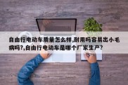 自由行电动车质量怎么样,耐用吗容易出小毛病吗?,自由行电动车是哪个厂家生产?