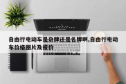 自由行电动车是杂牌还是名牌啊,自由行电动车价格图片及报价