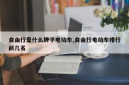 自由行是什么牌子电动车,自由行电动车排行前几名
