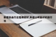 新疆自由行还是跟团好,新疆口碑最好的旅行社