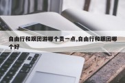 自由行和跟团游哪个贵一点,自由行和跟团哪个好