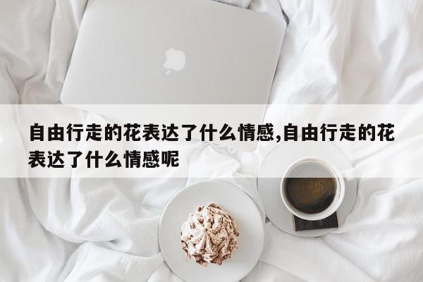 自由行走的花表达了什么情感,自由行走的花表达了什么情感呢